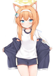 Rule 34 | 1girl, absurdres, animal ears, blue archive, blue eyes, cat ears, cat girl, collarbone, commentary request, flower, gym shirt, gym shorts, gym uniform, hair between eyes, hair flower, hair ornament, halo, headband, highres, jacket, kurumizawa ruri, long hair, long sleeves, looking at viewer, low ponytail, mari (blue archive), mari (track) (blue archive), official alternate costume, open clothes, open jacket, orange hair, shirt, shorts, sidelocks, simple background, smile, solo, track jacket, white background