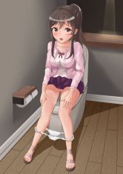 Rule 34 | 1girl, absurdres, blush, brown hair, cleft of venus, fuuka, highres, koyuki hinashi, looking at viewer, open mouth, panties, panty pull, peeing, pussy, red eyes, sandals, sitting, skirt, solo, toilet, toilet paper, toilet use, udonko (tinanago7715), uncensored, underwear