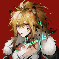 Rule 34 | 1girl, arknights, big hair, black jacket, breasts, cleavage, collar, ez 1011, fur-trimmed jacket, fur trim, glint, grey shirt, highres, jacket, large breasts, looking at viewer, medium hair, mouth hold, open clothes, open jacket, ponytail, red background, sanpaku, shirt, siege (arknights), simple background, solo, studded collar, upper body, watermark, yellow eyes
