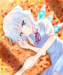 Rule 34 | 1girl, autumn leaves, bad id, bad pixiv id, blue dress, blue eyes, blue hair, blush, breasts, cirno, commentary request, cowboy shot, dress, hair ribbon, head tilt, holding hands, interlocked fingers, leaf, looking at viewer, lying, maple leaf, nibosi, on ground, on side, partial commentary, pinafore dress, pov, pov hands, puffy short sleeves, puffy sleeves, red neckwear, red ribbon, ribbon, shirt, short hair, short sleeves, sleeveless dress, small breasts, smile, solo, solo focus, touhou, white shirt