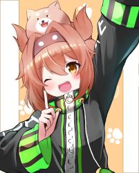 Rule 34 | 1girl, ;d, absurdres, animal, animal on head, arm up, black jacket, blush, brown eyes, brown hair, brown hairband, dog, drawstring, hair between eyes, hair intakes, hairband, hand up, highres, index finger raised, jacket, long sleeves, looking at viewer, on head, one eye closed, open mouth, original, shibakame, smile, solo, upper body, wide sleeves