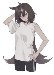 Rule 34 | 1girl, animal ears, arm up, black pants, breasts, brown hair, cropped legs, furrowed brow, hakuhatsu, hand in own hair, hand on own hip, horse ears, long hair, looking to the side, pants, red eyes, shirt, short sleeves, simple background, sirius symboli (umamusume), small breasts, solo, umamusume, white background, white shirt