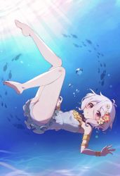 Rule 34 | 1girl, armband, ass, barefoot, bracelet, bubble, elf, feet, fish, flower, frilled swimsuit, frills, full body, hair flower, hair ornament, halterneck, highres, jewelry, kokkoro (princess connect!), kokkoro (summer) (princess connect!), looking at viewer, lunia, ocean, one-piece swimsuit, pink eyes, pointy ears, princess connect!, short hair, soles, solo, sunlight, swimming, swimsuit, toes, underwater, water, white hair
