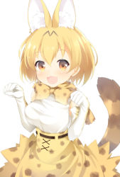 Rule 34 | 10s, 1girl, :3, animal ears, bare shoulders, blush, bow, bowtie, breasts, cat ears, cat tail, clenched hands, cowboy shot, cross-laced clothes, elbow gloves, eyelashes, fang, gloves, hair between eyes, kemono friends, large breasts, looking at viewer, maccha, open mouth, orange eyes, orange hair, paw pose, ribbon-trimmed clothes, ribbon-trimmed skirt, ribbon trim, serval (kemono friends), serval print, serval tail, shirt, short hair, simple background, skirt, sleeveless, sleeveless shirt, smile, solo, tail, white background, white shirt