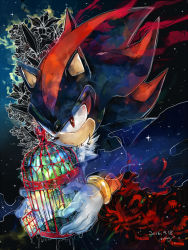 Rule 34 | 1boy, aimf, animal ears, artist name, birdcage, cage, dated, expressionless, flower, furry, furry male, gloves, holding, holding cage, male focus, red eyes, shadow the hedgehog, signature, solo, sonic (series), space, spider lily, star (sky), vambraces
