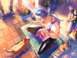 Rule 34 | 1boy, animal, apron, bikkusama, blue hair, cat, closed eyes, cu chulainn (fate), earrings, fate (series), flower, highres, jewelry, leather, leather pants, pants, ponytail, smile, solo, squatting