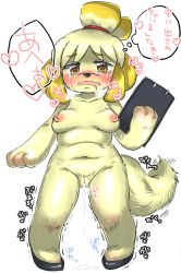 Rule 34 | animal crossing, animal hands, artist request, blush, breasts, breath, clipboard, crying, cum, cumdrip, dog, furry, heart, heart-shaped pupils, isabelle (animal crossing), medium breasts, navel, nintendo, nipples, open mouth, plump, simple background, symbol-shaped pupils, tail, translation request, yellow eyes