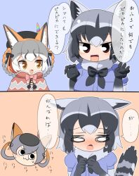 Rule 34 | 2girls, animal ears, black eyes, blush, bow, bowtie, brown eyes, cape, common raccoon (kemono friends), elbow gloves, extra ears, fox ears, fox girl, gloves, grey hair, hat, hat feather, highres, island fox (kemono friends), kanihai, kemono friends, kemono friends v project, lets0020, long hair, multiple girls, orange hair, raccoon ears, raccoon girl, raccoon tail, ribbon, shirt, short hair, simple background, sweat, tail, translation request, virtual youtuber