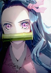 Rule 34 | 1girl, bamboo, bit gag, black hair, blush, commentary request, forehead, gag, hair ribbon, has bad revision, has downscaled revision, highres, hoshizaki reita, japanese clothes, kamado nezuko, kimetsu no yaiba, kimono, long hair, looking at viewer, md5 mismatch, mouth hold, open clothes, parted bangs, pink eyes, pink kimono, pink ribbon, resolution mismatch, ribbon, signature, solo, source smaller, upper body, v-shaped eyebrows