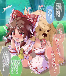 Rule 34 | 1girl, ahoge, all fours, ascot, bestiality, blush, bow, brown hair, detached sleeves, dog, doggystyle, hair bow, hakurei reimu, highres, hits (hitstts), legs, open mouth, outdoors, red bow, red eyes, sex, sex from behind, short hair, sidelocks, solo, teeth, tongue, touhou, translation request, upper teeth only, yellow ascot