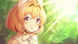 1girl absurdres animal_ears animal_ears_(norankkori) bare_shoulders blonde_hair blush bow bowtie center_frills frills highres kemono_friends light_rays multicolored_hair portrait print_bow print_bowtie print_neckwear serval_(kemono_friends) serval_print short_hair sleeveless solo spoilers sunbeam sunlight traditional_bowtie yellow_eyes