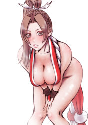 Rule 34 | 1girl, breasts, fatal fury, highres, large breasts, ponytail, shiranui mai, solo