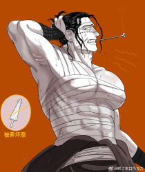 Rule 34 | 1boy, annoyed, armpits, bara, black hair, chest sarashi, cigar, covered abs, covered erect nipples, cowboy shot, crocodile (one piece), greyscale with colored background, hair slicked back, hand in own hair, highres, large pectorals, male focus, mature male, mg cls, midriff sarashi, muscular, muscular male, one piece, pectoral cleavage, pectoral press, pectorals, profile, puffy chest, sarashi, scar, scar on face, scar on nose, short hair, smoking, smoking pipe, solo, stitches, sweat, very sweaty