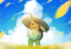 Rule 34 | :3, blue sky, blush, brown hat, clothed pokemon, cloud, creatures (company), day, eevee, field, flower, flower field, full body, game freak, gen 1 pokemon, green eyes, hat, highres, looking at viewer, nintendo, no humans, open mouth, outdoors, petals, pokemon, pokemon (creature), sky, smile, solo, standing, straight-on, straw hat, sun hat, yellow flower, yukifuri tsuyu