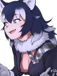 Rule 34 | 10s, 1girl, absurdres, animal ears, blazer, blue eyes, blue hair, breasts, cleavage, commentary request, downblouse, fangs, fur collar, gloves, grey background, grey wolf (kemono friends), hair between eyes, hands up, heterochromia, highres, jacket, kemono friends, leaning forward, long hair, long sleeves, looking to the side, masuyama ryou, medium breasts, multicolored hair, necktie, nipple slip, nipples, no bra, open mouth, plaid necktie, plaid neckwear, sidelocks, simple background, smile, solo, two-tone hair, upper body, white background, white hair, wolf ears, yellow eyes