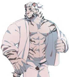 Rule 34 | 1boy, abs, absurdres, animal ears, arknights, bara, bare pectorals, black male underwear, blue eyes, facial hair, feet out of frame, furry, furry male, goatee, high ponytail, highres, kimagureuso, large hands, large pectorals, looking at viewer, male focus, male underwear, male underwear peek, mountain (arknights), mountain (book reader) (arknights), muscular, muscular male, nipples, official alternate costume, open clothes, open fly, open shirt, opened by self, pants, pectorals, scar, scar across eye, scar on arm, short hair, solo, sparse navel hair, stomach, tail, thick eyebrows, tiger boy, tiger ears, tiger tail, turning head, underwear, undressing, white hair, white pants