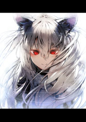 Rule 34 | 1girl, @ @, animal ear fluff, animal ears, highres, letterboxed, long hair, looking at viewer, nishiide kengorou, nora cat, nora cat channel, red eyes, silver hair, smile, solo, virtual youtuber