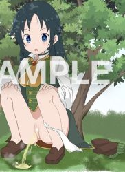 Rule 34 | 1girl, blue eyes, blue hair, blush, brown footwear, brown shorts, bush, censored, grass, green vest, hands on own knees, idolmaster, idolmaster cinderella girls, long hair, long sleeves, looking down, nanjo hikaru, open mouth, outdoors, panties, panties around one ankle, pee stain, peeing, puddle, pussy, sample watermark, shirt, shoes, shorts, sky, squatting, stained panties, steam, striped clothes, striped vest, tree, underwear, unworn shorts, vest, watermark, wet, wet clothes, wet panties, white panties, white shirt