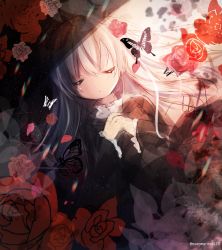 Rule 34 | 1girl, black dress, blush, bug, butterfly, closed eyes, commentary request, dress, dutch angle, facing viewer, flower, hair between eyes, hair flower, hair ornament, highres, insect, kohaku muro, long hair, long sleeves, lying, on back, original, own hands clasped, own hands together, parted lips, petals, red flower, red rose, rose, rose petals, silver hair, sketch, solo, twitter username, very long hair