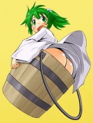 Rule 34 | 1girl, ass, bad id, bad pixiv id, bucket, female focus, green eyes, green hair, hair bobbles, hair ornament, in bucket, in container, kisume, matching hair/eyes, no panties, open mouth, simple background, solo, takura mahiro, touhou, twintails