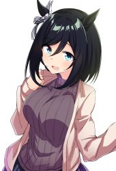 Rule 34 | 1girl, animal ears, black hair, blue eyes, breasts, brown sweater, eishin flash (umamusume), garukichi, highres, horse ears, horse girl, horse tail, jacket, large breasts, long sleeves, looking at viewer, short hair, simple background, solo, sweater, tail, turtleneck, turtleneck sweater, umamusume, white background, white jacket