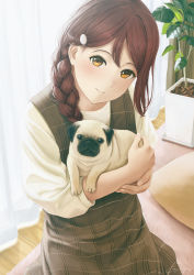 Rule 34 | 1girl, animal, bad id, bad pixiv id, blush, braid, brown dress, brown hair, carpet, closed mouth, commentary, curtains, dog, dress, hair ornament, hair over shoulder, hairclip, highres, holding, holding animal, holding dog, indoors, long hair, long sleeves, looking at viewer, love live!, love live! sunshine!!, orange eyes, papi (papiron100), pillow, plaid, plaid dress, plant, potted plant, pug, sakurauchi riko, shirt, signature, single braid, smile, solo, white shirt, wooden floor