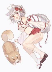 Rule 34 | 1girl, :d, ahoge, animal, animal ears, ass, bare shoulders, black footwear, blush, breasts, chinese zodiac, commentary request, crop top, detached sleeves, dog, dog ears, dog girl, dog tail, fang, grey background, hair ornament, long sleeves, medium breasts, nagitoki, nengajou, new year, nontraditional miko, open mouth, original, pleated skirt, red eyes, red skirt, sandals, short hair, silver hair, simple background, skirt, sleeveless, smile, socks, solo, tail, thick eyebrows, white socks, wide sleeves, year of the dog, zouri