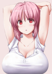 Rule 34 | 1girl, :o, alternate costume, antenna hair, arms up, bare arms, blush, breasts, cleavage, collarbone, collared shirt, commentary request, covered erect nipples, eyes visible through hair, hair between eyes, highres, large breasts, looking at viewer, no headwear, nori tamago, open mouth, parted lips, pink background, pink hair, red eyes, saigyouji yuyuko, shirt, short hair, short sleeves, simple background, solo, stretching, sweat, touhou, unbuttoned, upper body, white shirt