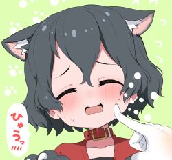 Rule 34 | 1girl, animal ears, black hair, blush, cat ears, cat girl, cheek poking, collar, commentary request, disembodied hand, extra ears, closed eyes, fang, highres, kaban (kemono friends), kemono friends, kemonomimi mode, no headwear, no headwear, poking, ransusan, red collar, short hair, sweatdrop, translation request, wavy mouth