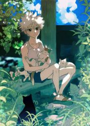 Rule 34 | 1boy, animal, bare arms, bare shoulders, black cat, blue eyes, blue shorts, blue sky, cat, closed mouth, cloud, collarbone, day, highres, holding, holding animal, holding cat, hunter x hunter, killua zoldyck, leaf, male focus, nature, outdoors, plant, shenshan laolin, short hair, shorts, sitting, sky, sleeveless, smile, tank top, white cat, white hair, white tank top