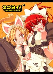 Rule 34 | 2girls, animal ears, blonde hair, breasts, brown eyes, cat ears, cat tail, maid, multiple girls, red eyes, red hair, short hair, source request, super zombie, tail, thighhighs, tongue