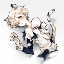 Rule 34 | 10s, 1boy, animal ears, bad id, bad pixiv id, bare shoulders, captain yue, duizhang, gokotai, gradient background, kemonomimi mode, lying, male focus, on side, solo, tail, tiger ears, tiger tail, torn clothes, touken ranbu, white hair, yellow eyes