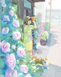 Rule 34 | 1girl, adjusting clothes, adjusting headwear, animal, ao (aohari), arm up, bag, blue flower, blue ribbon, blunt bangs, bow, brown hair, building, closed mouth, commentary request, dappled sunlight, day, dog, pet walking, dress, eyebrows visible through hat, flower, flower pot, from side, full body, hair flower, hair ornament, hand on headwear, hand up, handbag, hat, hat bow, hat ribbon, highres, holding, holding leash, hollyhock, leaf, leash, light particles, long dress, looking away, looking to the side, low twintails, manhole, manhole cover, morning glory, no lineart, no socks, original, outdoors, pet, pink flower, plant, potted plant, ribbon, road, scenery, shade, shadow, shoes, short sleeves, short twintails, sidelighting, sidewalk, signature, smile, solo, sparkle, standing, star (symbol), straw hat, street, sun hat, sunlight, sweat, tile wall, tiles, trellis, twintails, utility pole, vines, welsh corgi, white bag, white footwear, yellow dress