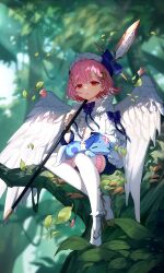Rule 34 | 1girl, 1other, angel wings, bandaid, bandaid on face, blue ribbon, forest, hat, highres, icewind0223, in tree, nature, original, petting, pink hair, red eyes, ribbon, sitting, sitting in tree, speak, sunlight, thighhighs, tree, white thighhighs, wings