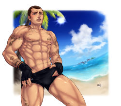 Rule 34 | 1boy, abs, bara, beach, blush, bulge, dead or alive, f-15jrs, male focus, muscular, outdoors, pectorals, rig (doa), topless male, solo, tagme, tattoo