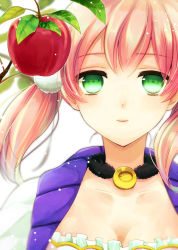Rule 34 | 10s, 1girl, apple, atelier (series), atelier escha &amp; logy, bad id, bad pixiv id, breasts, choker, coat, corset, escha malier, female focus, food, fruit, green eyes, jewelry, leaf, looking at viewer, nagonmaou, neck, necklace, pink hair, plant, red apple, short hair, short twintails, smile, solo, strapless, twintails, upper body, white background