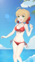Rule 34 | 1girl, :d, ahoge, artist name, bare arms, bare shoulders, bikini, blonde hair, blue sky, braid, braided bun, breasts, chocomiru, cleavage, cloud, commentary, crown braid, day, english commentary, fate/grand order, fate (series), green eyes, hair bun, highres, lens flare, looking at viewer, medium breasts, navel, nero claudius (fate), nero claudius (fate) (all), nero claudius (fate/extra), open mouth, outdoors, red bikini, side-tie bikini bottom, sky, smile, solo, stomach, swimsuit, water
