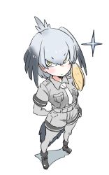 Rule 34 | 10s, 1girl, bird girl, bird tail, bird wings, blonde hair, boots, breast pocket, collared shirt, from above, gloves, grey hair, head wings, highres, kemono friends, multicolored hair, necktie, pantyhose, pocket, shirt, shoebill (kemono friends), short hair, short sleeves, shorts, solo, star (symbol), tail, uniform, v-shaped eyebrows, white background, wings, zk (zk gundan)