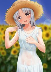 Rule 34 | 1girl, absurdres, blush, brave witches, breasts, brown eyes, collarbone, edytha rossmann, flower, hat, highres, hot, kuroniko, looking at viewer, navel, open mouth, outdoors, panties, see-through, shiny skin, silver hair, small breasts, smile, solo, straw hat, sunflower, sweat, underwear, wet, wet clothes, white panties, world witches series