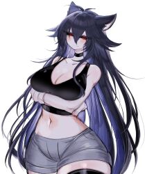 Rule 34 | ahoge, arms under breasts, bare shoulders, black hair, black sclera, blush, breasts, choker, cleavage, colored sclera, hedgehog ears, hedgehog girl, highres, large breasts, long hair, looking at viewer, midriff, multicolored hair, navel, purple hair, red eyes, shorts, smile, sonic.exe, sonic (series), sonic the hedgehog, tank top, thick thighs, thighhighs, thighs, usa37107692, wide hips, zettai ryouiki