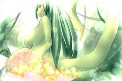 Rule 34 | 1girl, colored skin, flower, gradient background, green hair, green skin, highres, inside creature, monster girl, plant, plant girl, tagme, vore, x-ray