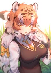 Rule 34 | 1girl, akuma (st.takuma), animal ear fluff, animal ears, black hair, bow, brown vest, chain, claws, commentary, cuffs, day, fang, fur, gradient hair, hair between eyes, hair bow, highres, japari symbol, kemono friends, large tail, long hair, long sleeves, looking at viewer, multicolored hair, necktie, open mouth, orange bow, orange eyes, orange hair, orange necktie, outdoors, plaid necktie, scratching cheek, shackles, shirt, siberian tiger (kemono friends), solo, tail, tiger ears, tiger girl, tiger tail, vest, white hair, white shirt, wing collar