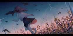 Rule 34 | 1girl, animal, barefoot, bird, black skirt, blue sky, brown hair, commentary request, dutch angle, facing away, field, flying, from behind, highres, jacket, ji dao ji, letterboxed, long hair, long sleeves, open clothes, open jacket, original, outdoors, running, skirt, sky, soles, solo, sunset, white jacket, wind turbine, windmill