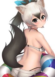 Rule 34 | 1girl, aardwolf (kemono friends), absurdres, animal ear fluff, animal ears, bead necklace, beads, black eyes, black hair, blush, deku suke, extra ears, from behind, gradient hair, hair between eyes, hair ribbon, highres, innertube, jewelry, kemono friends, looking at viewer, looking back, multicolored hair, necklace, ponytail, ribbon, shorts, simple background, solo, swim ring, tail, white background, white hair, white shorts
