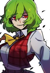 Rule 34 | 1girl, ascot, breasts, green hair, grin, hair between eyes, half-closed eyes, highres, iganashi1, kazami yuuka, large breasts, medium hair, one-hour drawing challenge, parted lips, raised eyebrow, red vest, simple background, smile, smug, solo, touhou, upper body, vest, white background, wing collar, yellow ascot