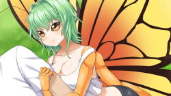 Rule 34 | 1boy, 1girl, antennae, arm hug, artist request, bike shorts, blush, breasts, butterfly girl, chitin, compound eyes, crop top, extra arms, flare (monster musume), game cg, grass, green hair, hair intakes, insect wings, medium breasts, medium hair, midriff, monster musume no iru nichijou, monster musume no iru nichijou online, official art, smile, tank top, white tank top, wings, yellow eyes