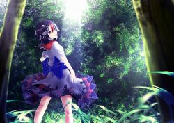 Rule 34 | 1girl, arrow (symbol), bad id, bad pixiv id, black hair, blurry, bow, cowboy shot, day, depth of field, forest, from behind, grass, grey horns, highres, horns, juji, kijin seija, kneepits, light rays, looking at viewer, looking back, multicolored hair, nature, open mouth, outdoors, red eyes, red hair, short hair, short sleeves, skirt, solo, streaked hair, sunlight, touhou, tree, white hair