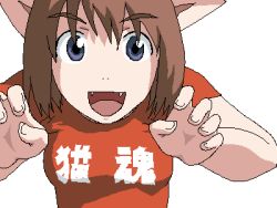 Rule 34 | 1girl, animal ears, ayase fuuka, black eyes, blouse, brown hair, cat ears, clothes writing, eyebrows, fangs, looking at viewer, lowres, oekaki, open mouth, red shirt, shirt, simple background, solo, thick eyebrows, translated, white background, yotsubato!