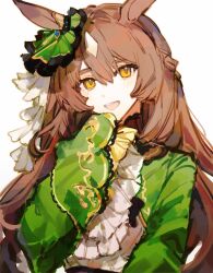Rule 34 | 1girl, absurdres, animal ears, ascot, braid, brown hair, commentary, dress, ear ornament, french braid, frilled dress, frills, green dress, hair between eyes, highres, hikawayunn, horse ears, horse girl, long hair, looking at viewer, multicolored hair, open mouth, satono diamond (umamusume), sleeves past fingers, sleeves past wrists, smile, solo, streaked hair, umamusume, upper body, very long sleeves, white ascot, white hair, yellow eyes