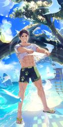 Rule 34 | 1boy, abs, bara, bird, black male swimwear, brown hair, clothes lift, commentary request, commission, facial hair, full body, goatee, green eyes, green male swimwear, green swim trunks, grin, highres, male focus, male swimwear, nipples, original, p!k@ru, paw print, print male swimwear, print swim trunks, sandals, shirt lift, short hair, sideburns, skeb commission, smile, solo, stomach, swim trunks, swimsuit, thick eyebrows, toned, toned male, tree, water